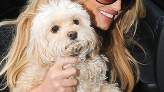 Losing Daisy Leaves Jess At "Worst Place Ever"; Khloé Will Marry This Weekend